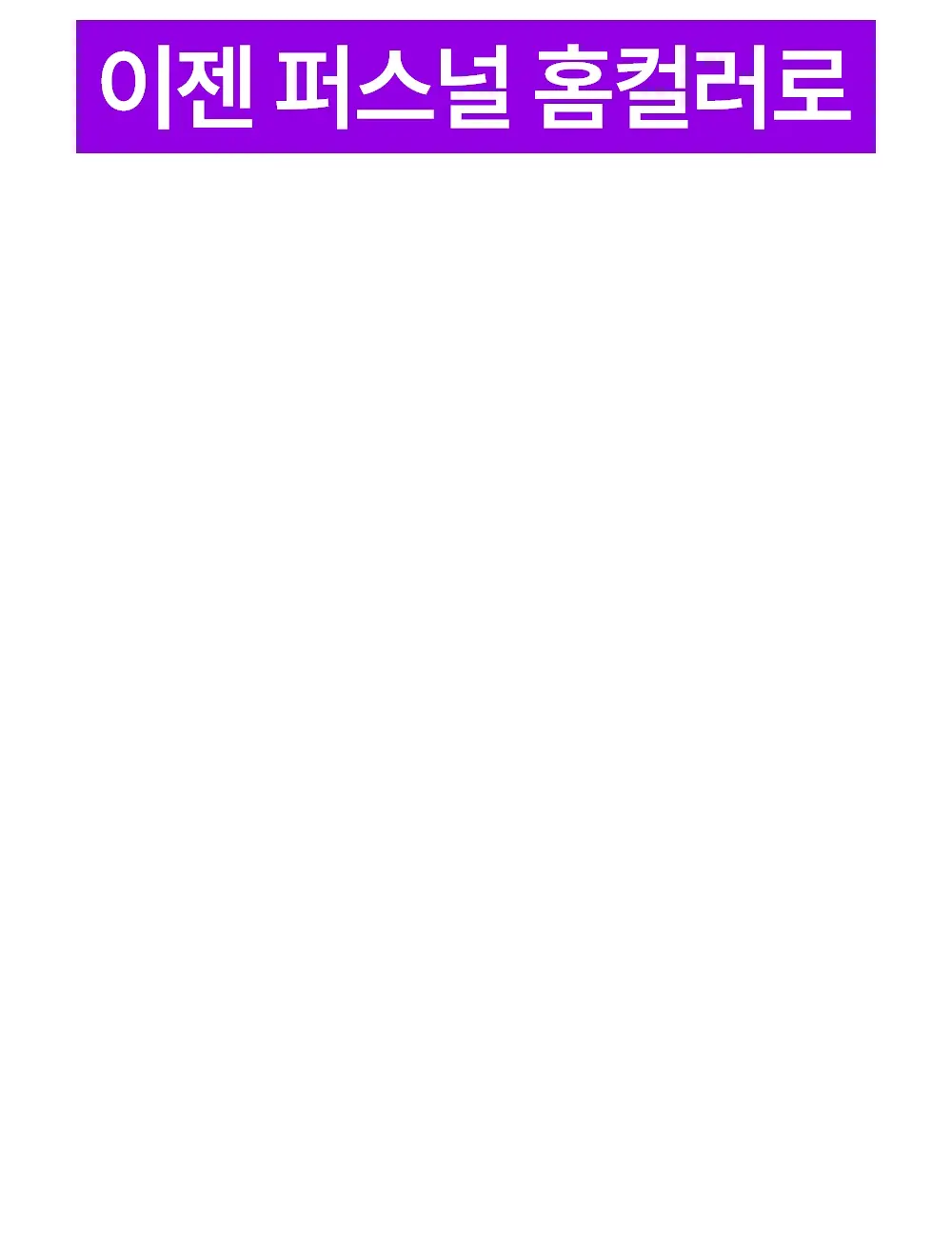 퍼스널 홈컬러 가이드 12
